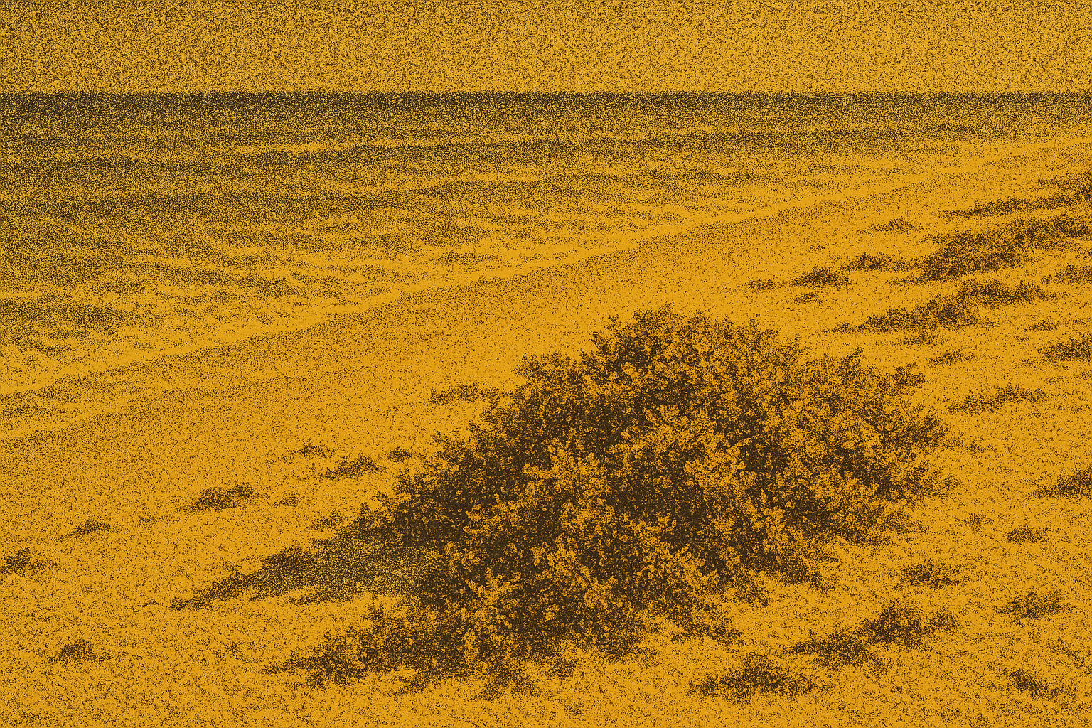 Harvesting the Sea: A Vision for Autonomous Catamarans and Floating Biodigesters